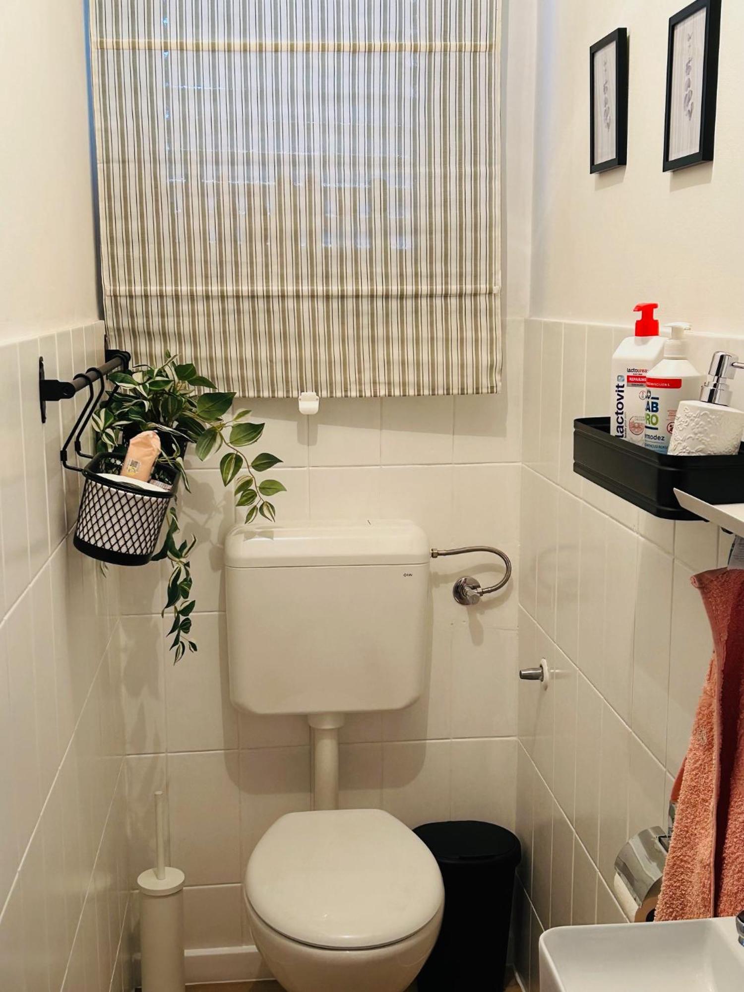 Starlight House Apartment Bjelovar Ngoại thất bức ảnh