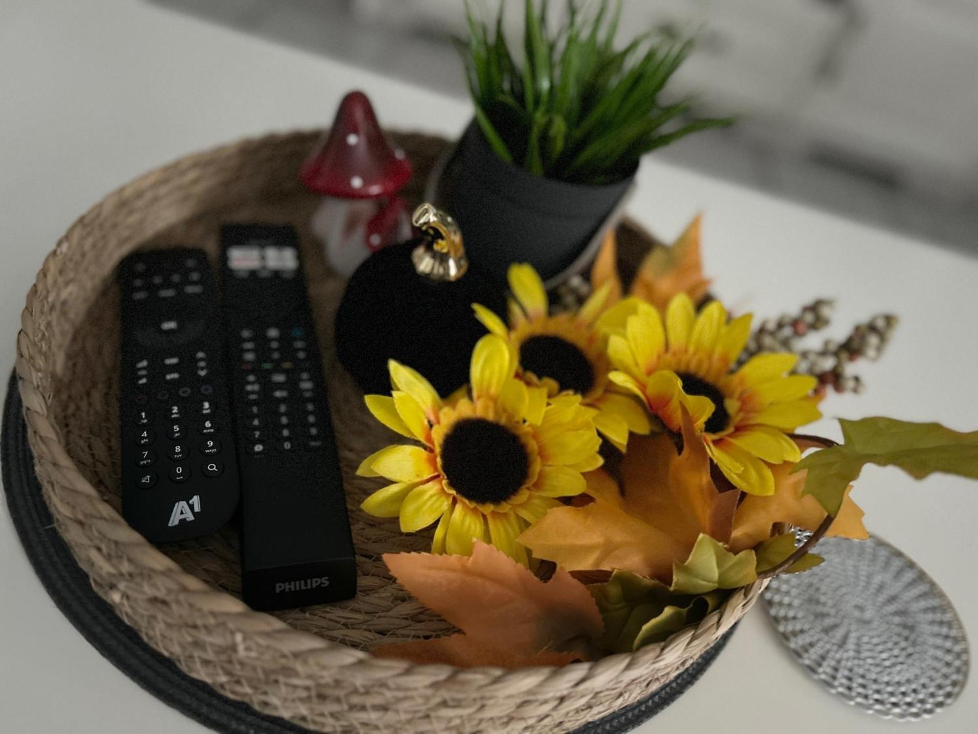 Starlight House Apartment Bjelovar Ngoại thất bức ảnh